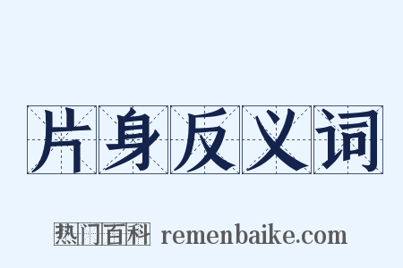 片身反义词是什么意思的图片